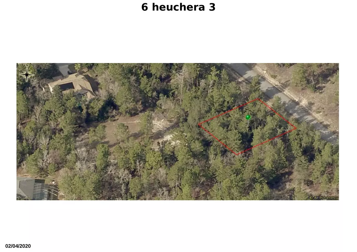 Homosassa, FL 34446,6 E Heuchera CT