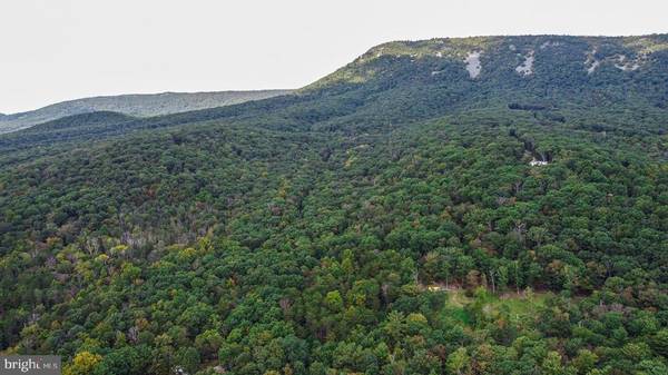 Luray, VA 22835,0 MOUNTAIN RUN RD