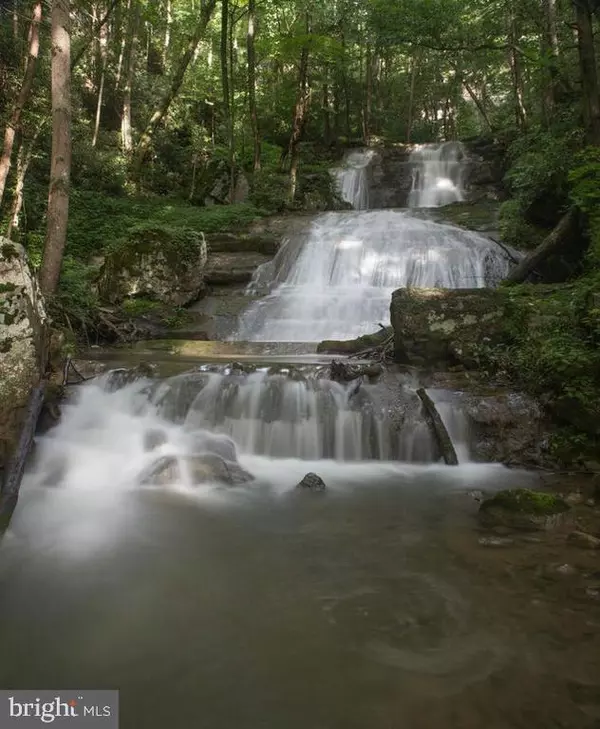 Moorefield, WV 26836,575 DUMPLING RUN RD