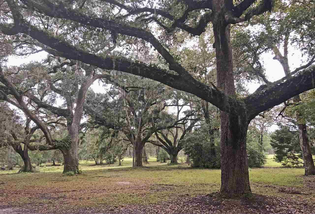 325 N Gilley Road, Monticello, FL 32344