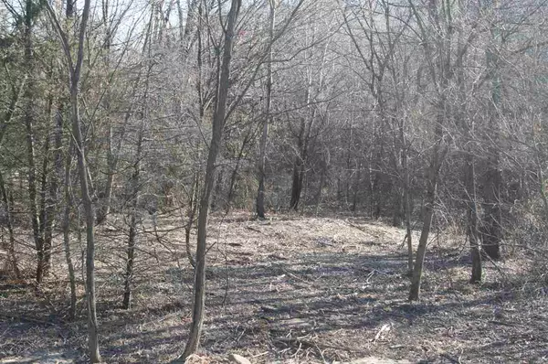 L12 Lucille Ln, Merrimac, WI 53561