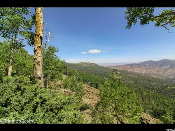 Cedar City, UT 84720,15 1.5 ACRES RIM RD