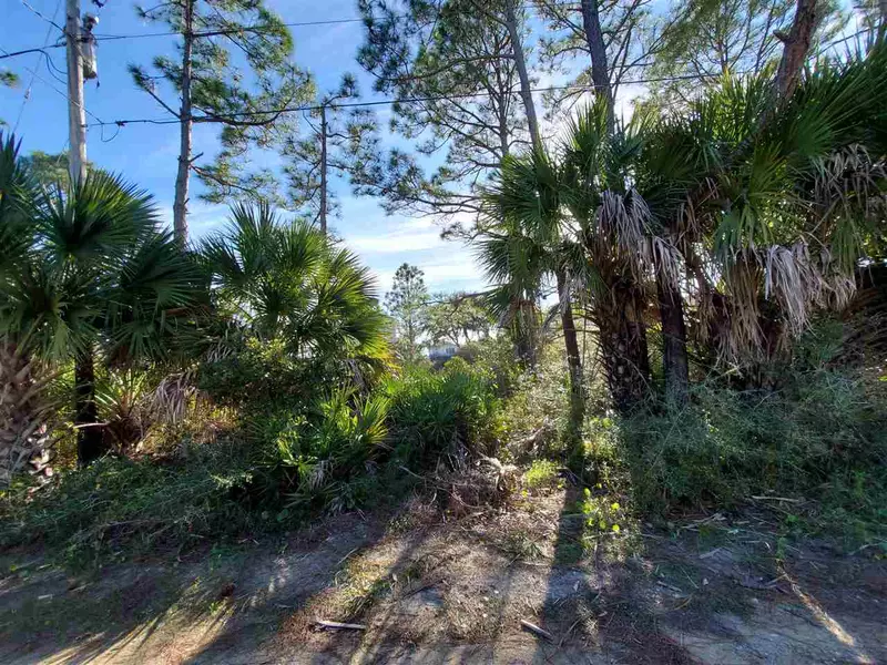 1449 Cypress Street, Alligator Point, FL 32346