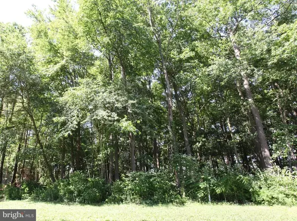 Pocomoke City, MD 21851,LOT 17 WHITE OAKS LN