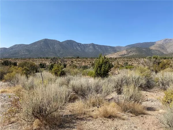 Trout Canyon Road, Other, NV 89124