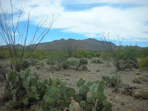 18225 S Rustling Leaf Trail #52, Corona De Tucson, AZ 85641