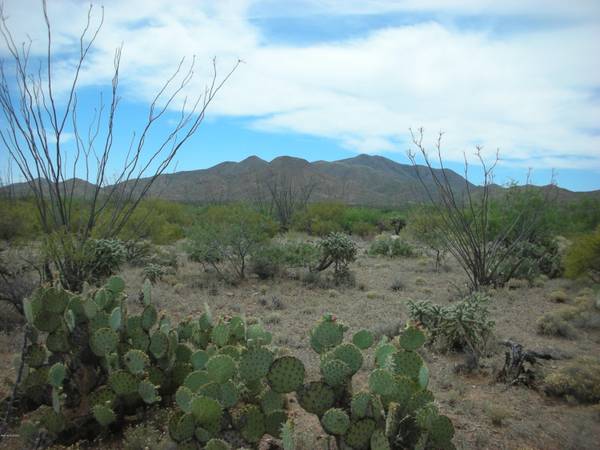 18225 S Rustling Leaf Trail #52, Corona De Tucson, AZ 85641