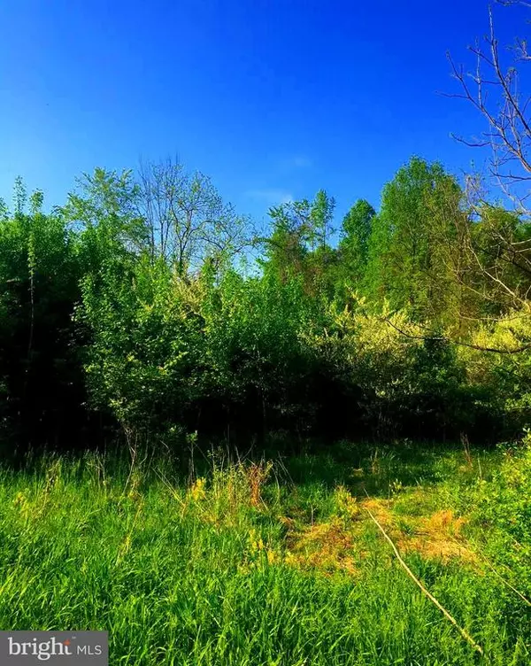 Hedgesville, WV 25427,LOT 12 BACK CREEK VALLEY RD