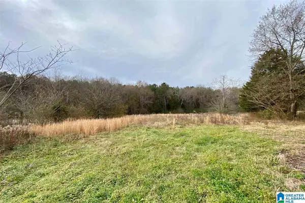 Eastaboga, AL 36260,885 COUNTY LINE RD W #11 acres