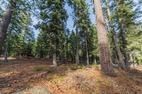 290 Pineland Drive, Tahoe City, CA 96145