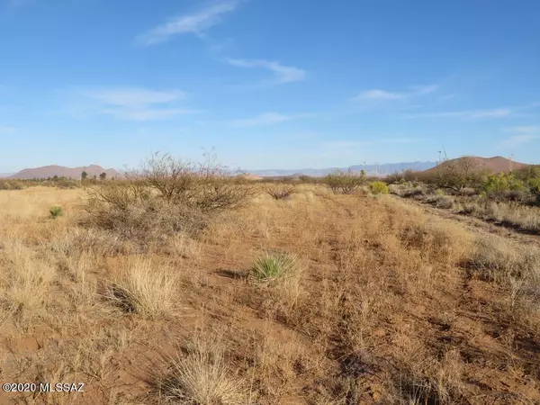 Pearce, AZ 85625,TBD Tracey Road