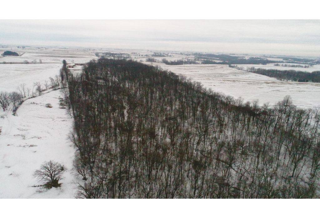 Cobb, WI 53526,3431 Tower Rd