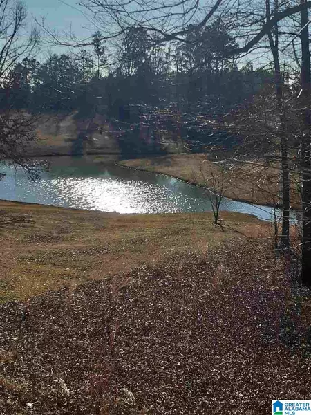 WHITNEY SPRINGS DRIVE #6, Steele, AL 35987