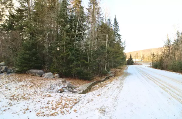 Dummer, NH 03588,Lot 30 Pontook Estates RD #Lot 30