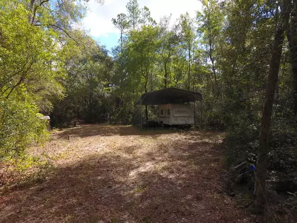 Madison County, FL 32340,Vacant NE Chervil Drive #-