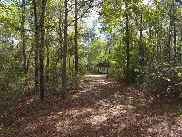 Madison County, FL 32340,Vacant NE Chervil Drive #-