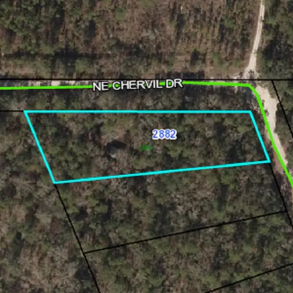 Madison County, FL 32340,Vacant NE Chervil Drive #-