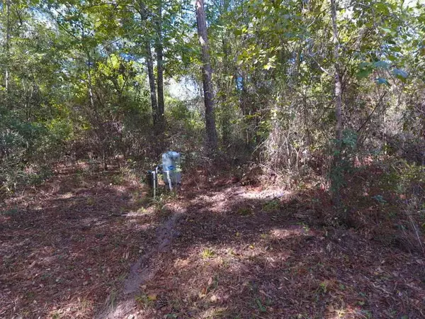 Madison County, FL 32340,Vacant NE Chervil Drive #-