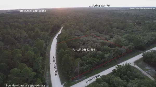 3550 YATES CREEK Road, Perry, FL 32348