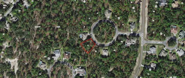 Homosassa, FL 34446,11 W Oxhorn CT