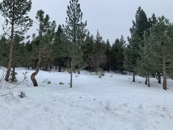 14866 Slalom Way, Truckee, CA 96161