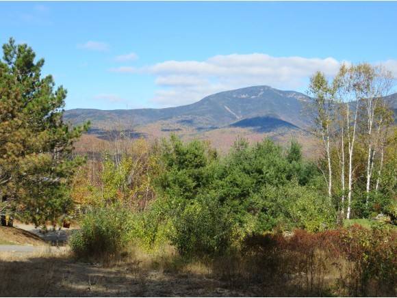 30 Bear Brook LN #5, Waterville Valley, NH 03215