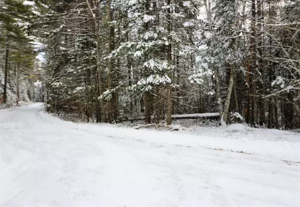 Milan, NH 03588,37 Goudreau RD #37