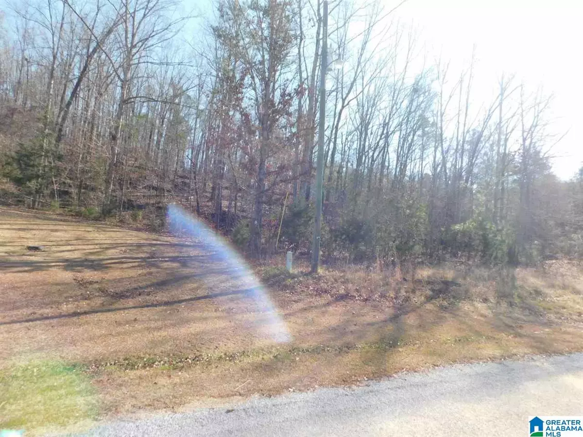 Ashville, AL 35987,0 CARRIAGE DRIVE #lot 5 and lot 6