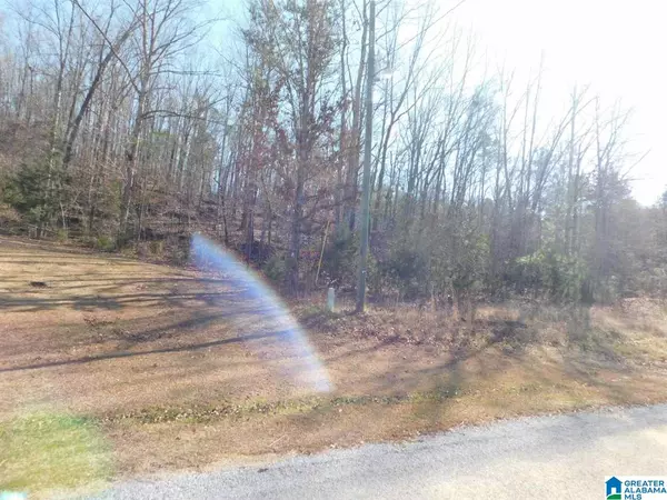 0 CARRIAGE DRIVE #lot 5 and lot 6, Ashville, AL 35987