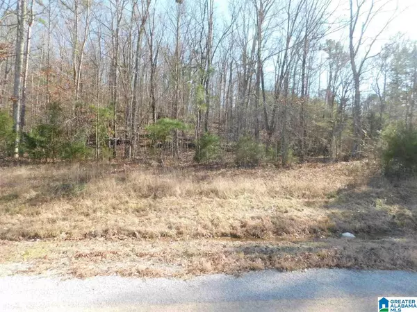 Ashville, AL 35987,0 CARRIAGE DRIVE #lot 5 and lot 6