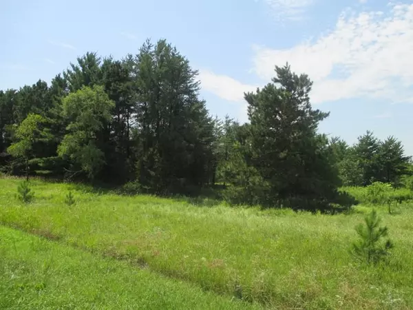 10.14 Ac County Road F, Montello, WI 53949