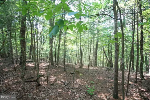 LOT 11 HIGH POINT DRIVE, Wardensville, WV 26851