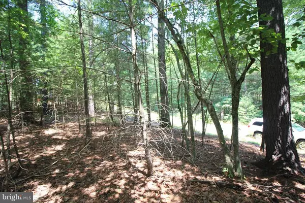 Wardensville, WV 26851,LOT 11 HIGH POINT DRIVE