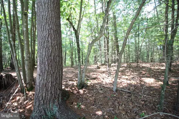 Wardensville, WV 26851,LOT 11 HIGH POINT DRIVE