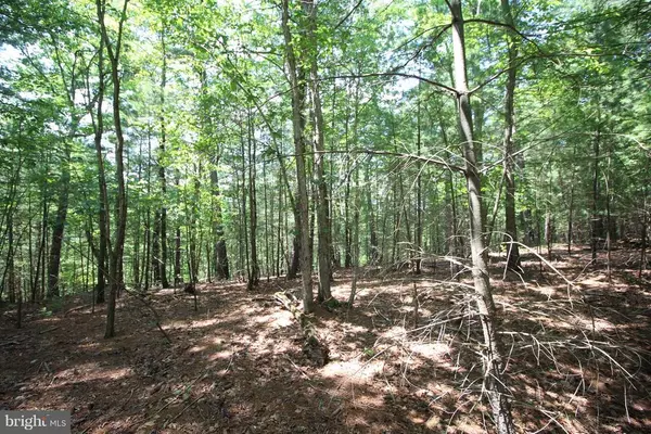 Wardensville, WV 26851,LOT 11 HIGH POINT DRIVE