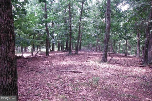 BLUFFS LOOKOUT, Fort Ashby, WV 26719