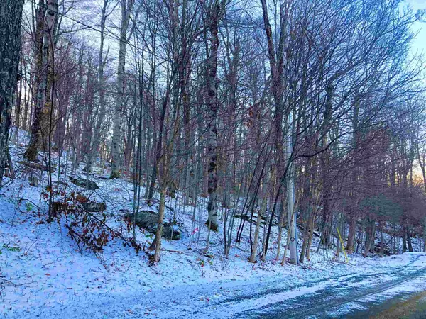 Winhall, VT 05340,0 Windtree RD