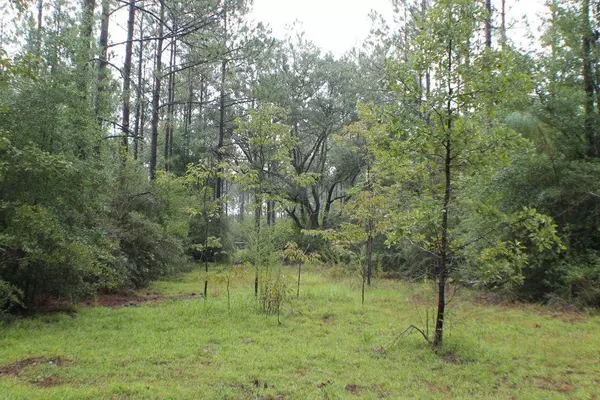 Baker, FL 32531,Lot A -43a Old River Road