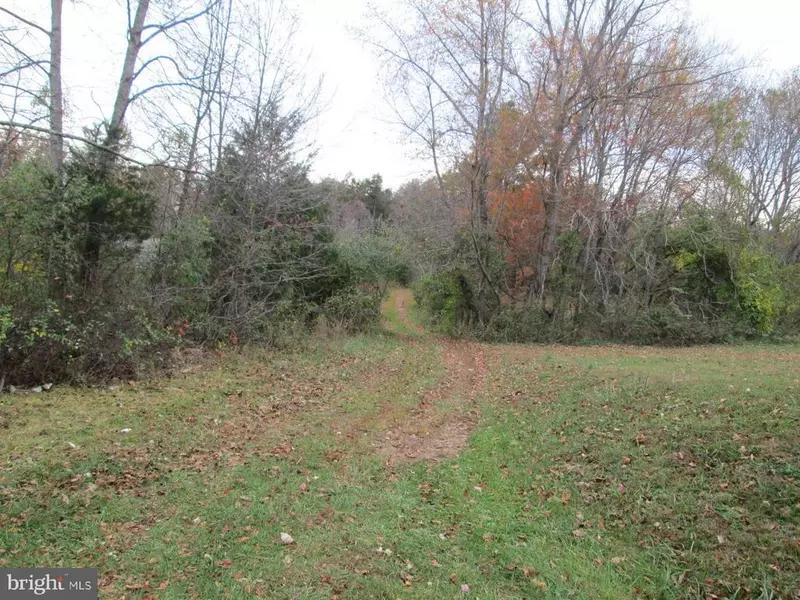 SCOTTS MILL RD, Culpeper, VA 22701