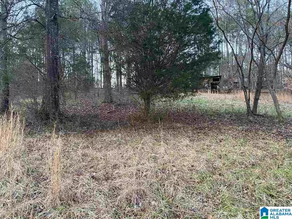 Springville, AL 35146,Lot 28 CHICKASAW ST #Lot 28