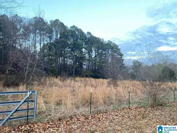 Lot 30 CHICKASAW ST #Lot 30, Springville, AL 35146