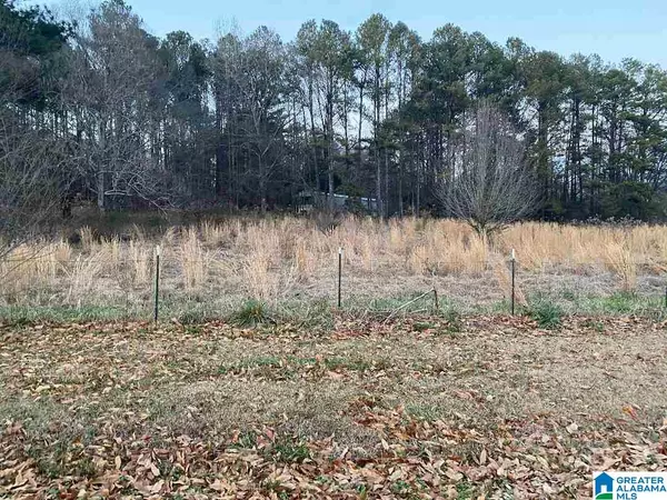 Springville, AL 35146,Lot 30 CHICKASAW ST #Lot 30