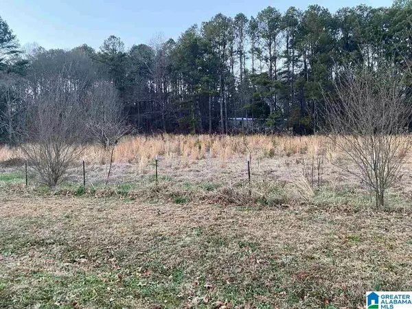 Springville, AL 35146,Lot 30 CHICKASAW ST #Lot 30