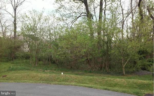 NORTH TAMARAC DR, Shepherdstown, WV 25443