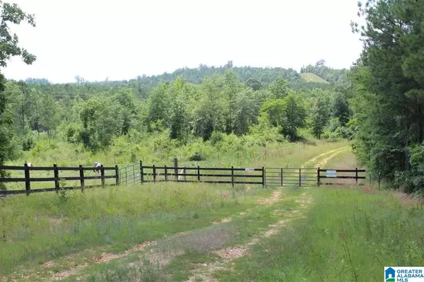 Wilsonville, AL 35147,1 SHADOW OAKS WAY #59.2 acres