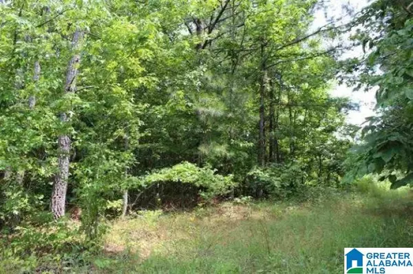 Wilsonville, AL 35147,1 SHADOW OAKS WAY #59.2 acres