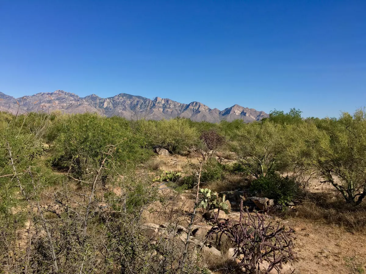 Oro Valley, AZ 85755,946 W Tortolita Mountain Circle #136