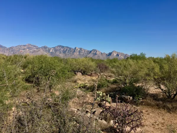 946 W Tortolita Mountain Circle #136, Oro Valley, AZ 85755