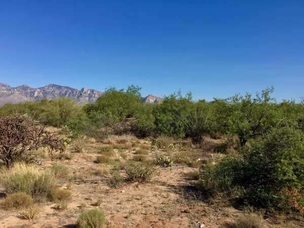 Oro Valley, AZ 85755,946 W Tortolita Mountain Circle #136