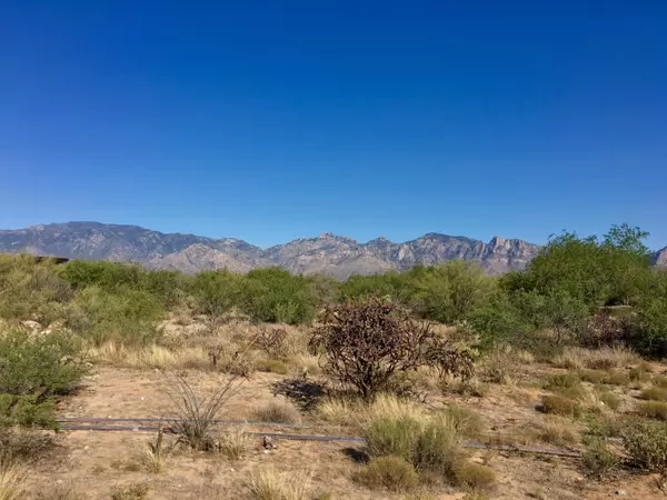 Oro Valley, AZ 85755,946 W Tortolita Mountain Circle #136